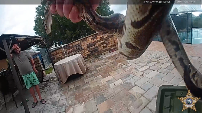Roedding shows the python to the homeowners.